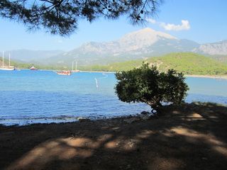 IMG_3490