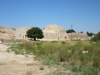 IMG_3777