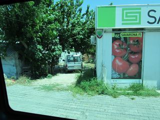IMG_3765