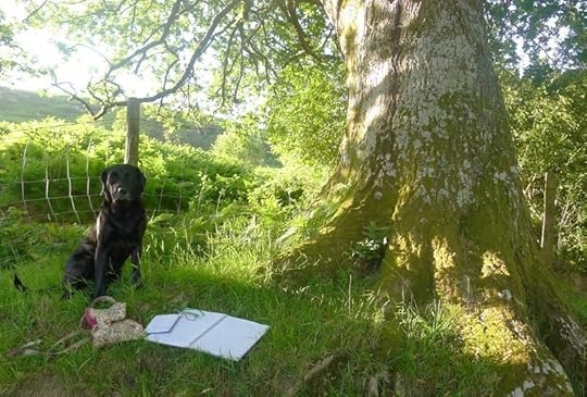 Tilly, notebooks, oak