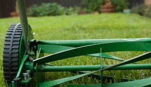 Blades versus blades.