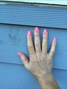 hartlandbearwolfpaw2