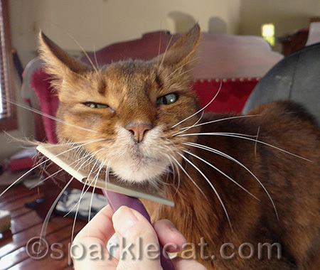 Even my whiskers are vibrating