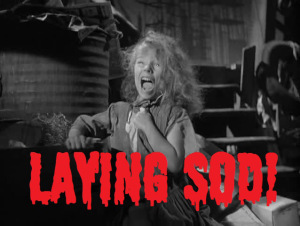 Sod