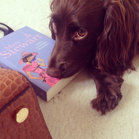 Puppy love combined with book love! How cute is this?