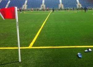 ClarkeTurf
