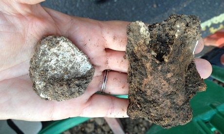 Mike Heyworth with the bone fragments found in a mound of excavated soil