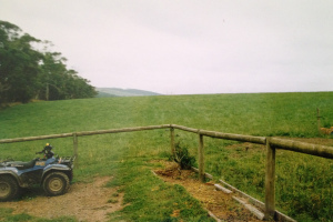 Dairy Farming in Gippsland