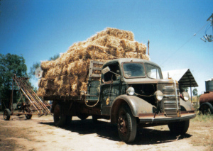 Not our actual truck - camera's were not so common in the 80's but strikingly similar to ours.