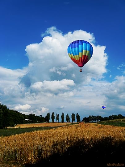  photo tumblr_n9e91o4Y4x1s6pvt4o1_500_zps9a8d528c.jpg