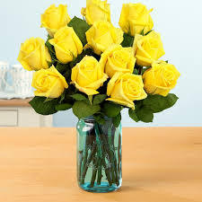  photo roses_zps518ec1fa.jpg