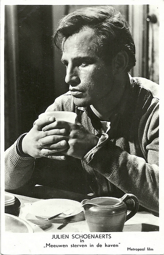 Julien Schoenaerts in Meeuwen sterven in de haven