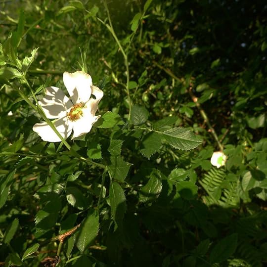 P1110485
