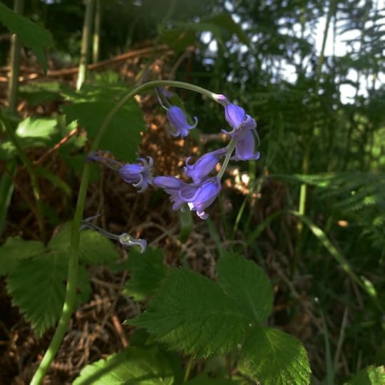 P1110483