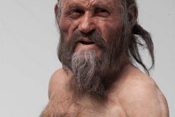 otzi the iceman's facial reconstruction