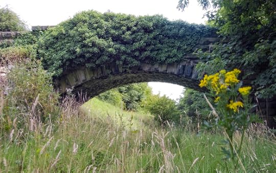Abandoned Railway Cutting in Otley by TJ Blackwell