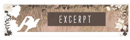 Chapter-by-Chapter-header---Excerpt