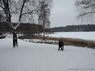 winter-pictures-bagsvaerd-lake-zealand-island-01