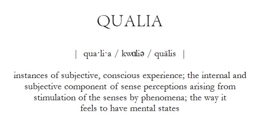 Qualia Definition