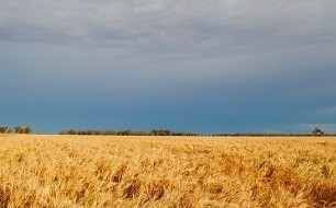 farm landscape