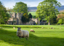 9492982-english-manor-with-sheep-and-yorkshire-moors 200