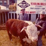 Broke, Not Broken: Homer Maxey's Texas Bank War, non fiction legal drama in West Texas by Broadus A. Spivey and Jesse Sublett