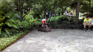 IMG_20140723_135521_473