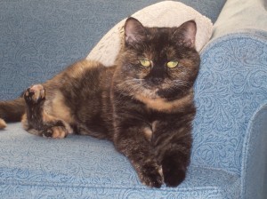 Buckley relaxing