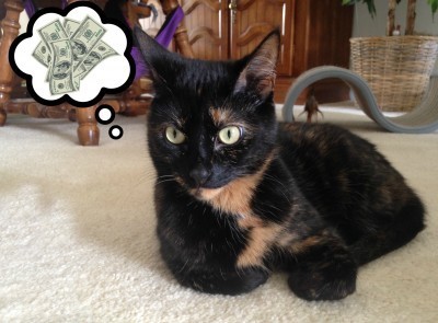 cat_with_money