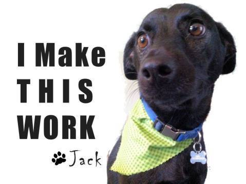 10552543_671324876282578_6027856805111949373_n