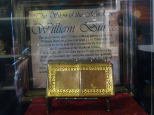Burke's skin card case