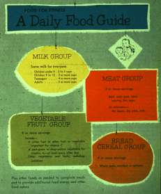 Food for Fitness guide
