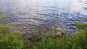 image (4)