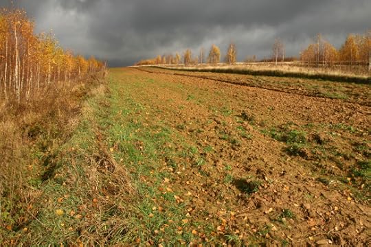 Farm field in autumn beneath a stormy sky