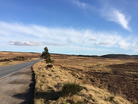 photo, image, cairngorm national park, scotland