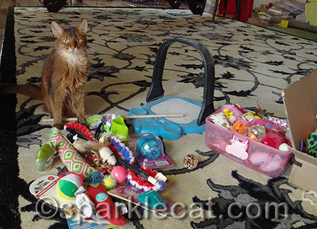 This is just a small amount of the toys we kitties have!