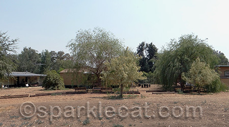 On the way into the property