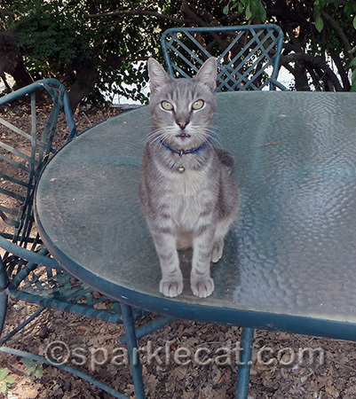 A natural supermodel!