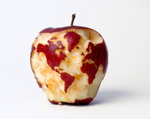 apple, globe, kevin van aelst, photographer, panopticon gallery