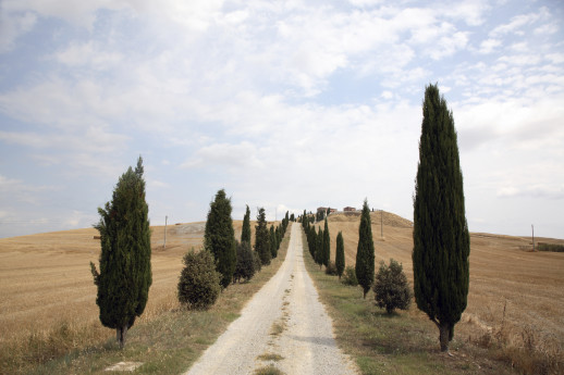 How to Unplug While You Are on Vacation