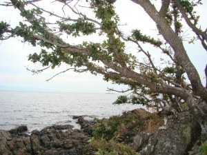 DSC04644
