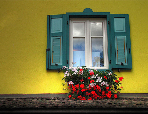Photo by Andrea Costa / via Flickr