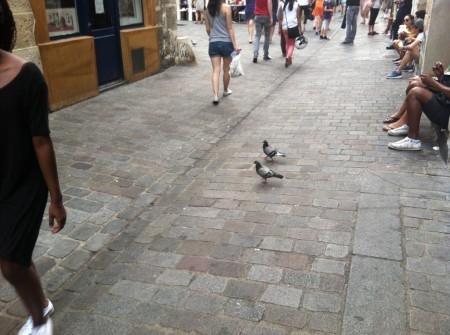 IMG 2738 450x335 Bonjour from Paris!