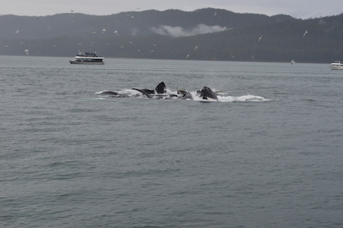 DSC_0088.JPG