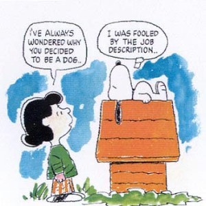 Snooyp-job-description