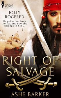 Pirates Right of Salvage Ashe Barker