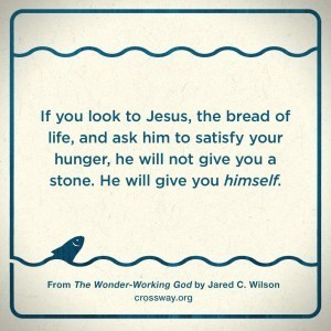 1518715_10152545097263632_1114579698867472975_o