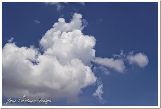 Angel_Trumpet
