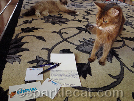 I'd write a note back if I had thumbs