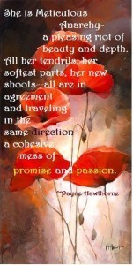 meticulousanarchyxlarge